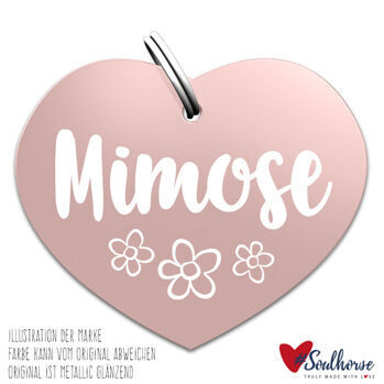 “Mimose” Marke rose